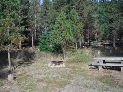 Camper submitted image from Bunker Hill Campground - 2