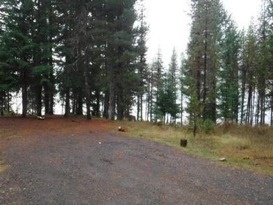 Camper submitted image from Bunker Hill Campground - 4