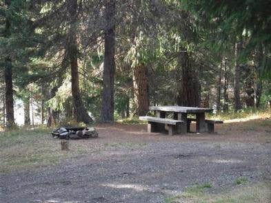 Camper submitted image from Bunker Hill Campground - 5