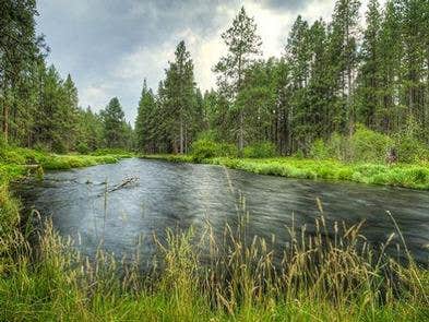 Camper submitted image from Camp Sherman Campground - 1