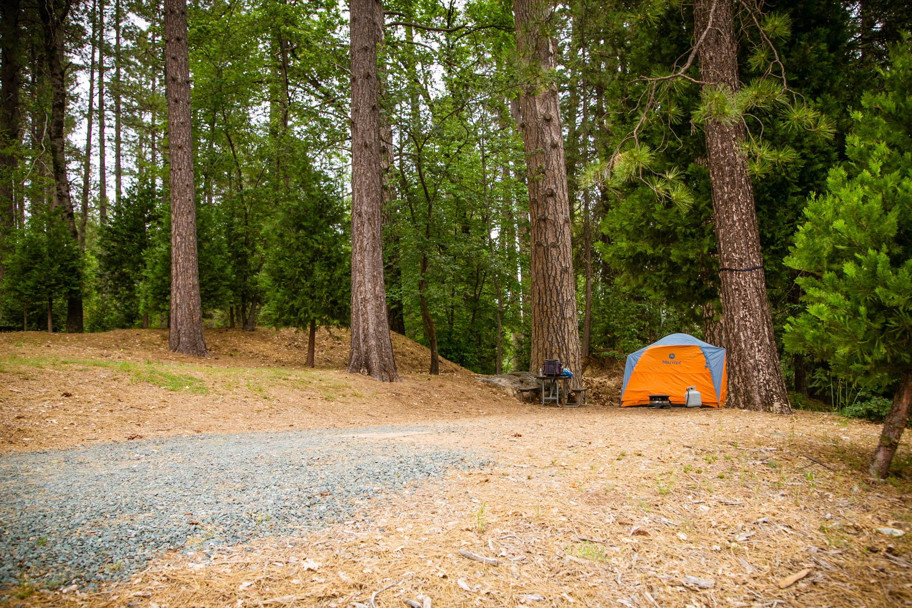 The Dyrt's photo at Inn Town Campground near Camptonville, CA
