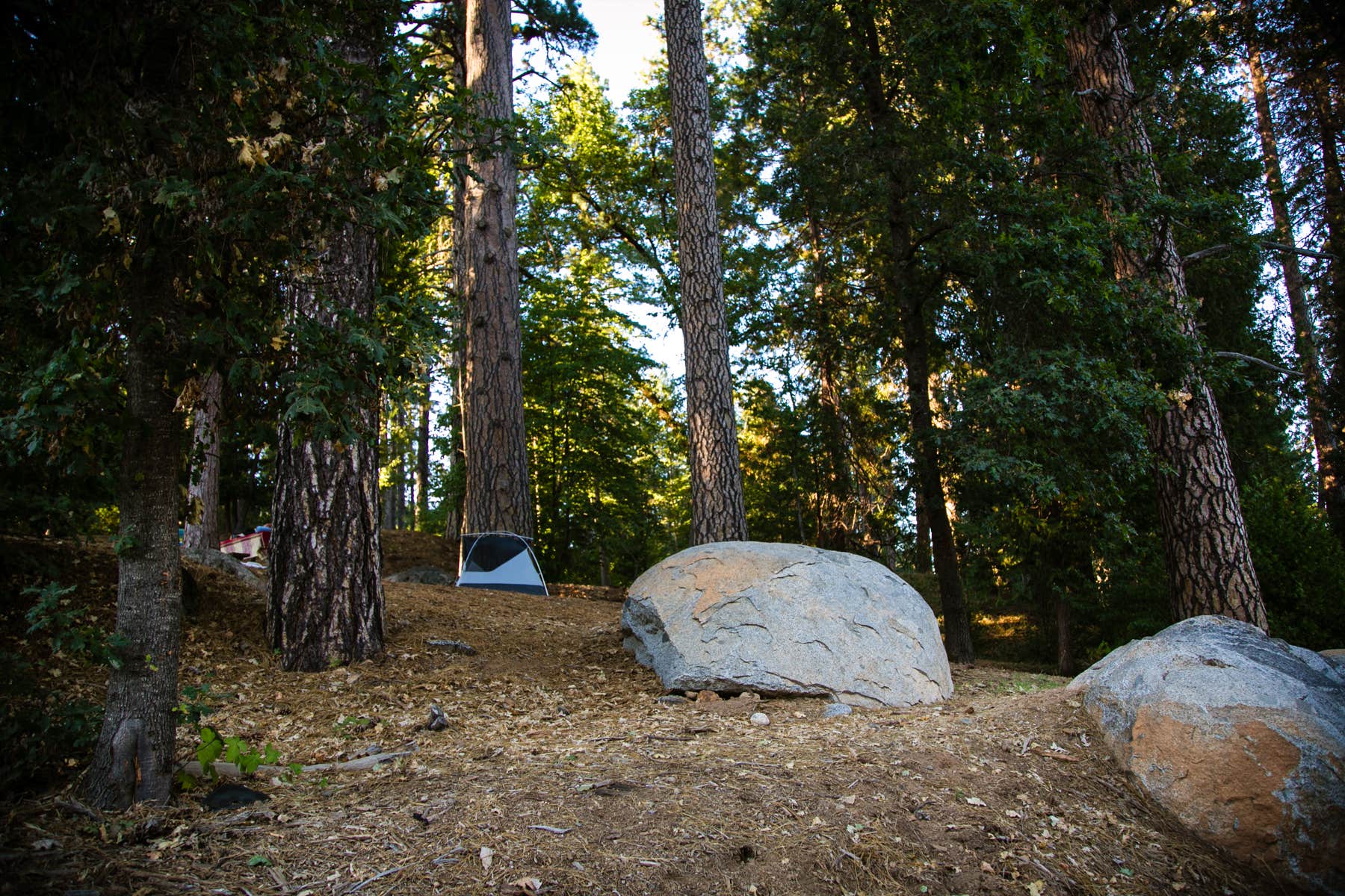 The Dyrt's photo at Inn Town Campground near Pinecrest, CA
