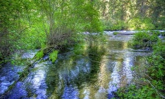 Camping near Pioneer Ford Campground: Candle Creek Campground, Camp Sherman, Oregon
