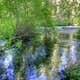 Candle Creek Campground