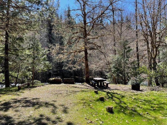 Camper submitted image from Campers Flat Campground - 5