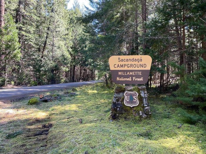 Camper submitted image from Sacandaga Campground - 1
