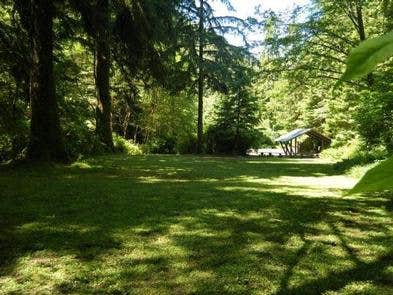 Camper submitted image from Cape Perpetua - 1