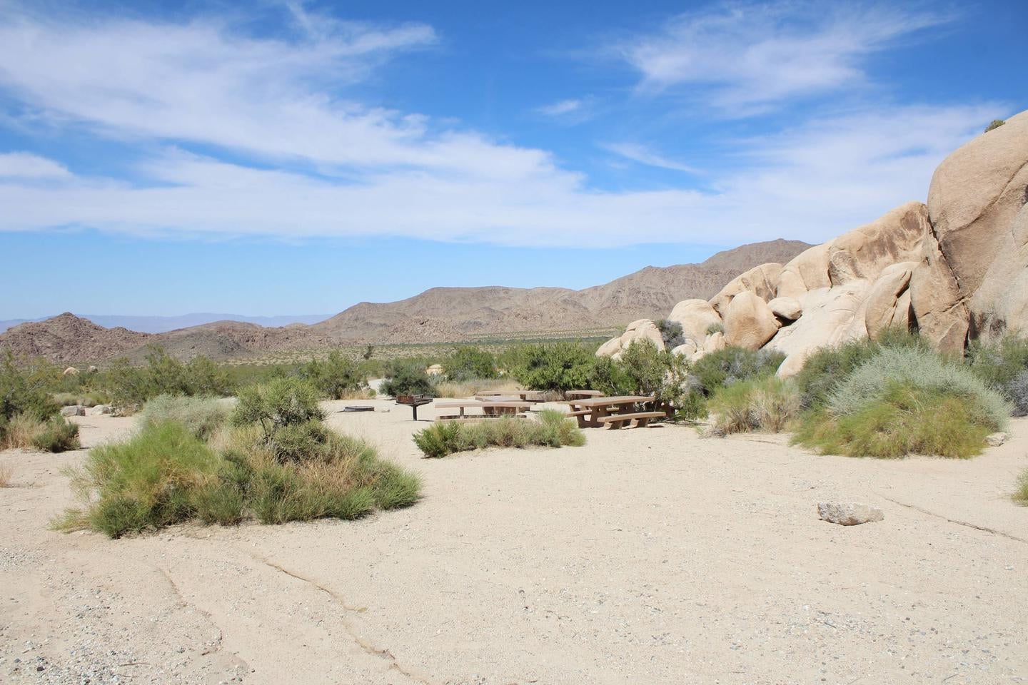Camper submitted image from Indian Cove Campground — Joshua Tree National Park - 5