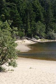 Camper submitted image from Siuslaw National Forest Carter Lake Campground - 3