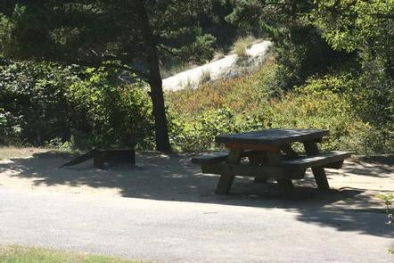 Camper submitted image from Siuslaw National Forest Carter Lake Campground - 1