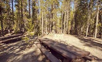 Camping near Little Crater Campground: Chief Paulina Horse Camp, La Pine, Oregon