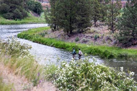 Camper submitted image from Chimney Rock Campground - 4