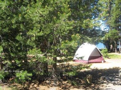 Camper submitted image from Cinder Hill Campground - 4