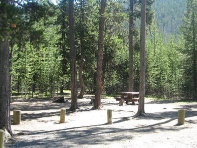 Camper submitted image from Cinder Hill Campground - 4