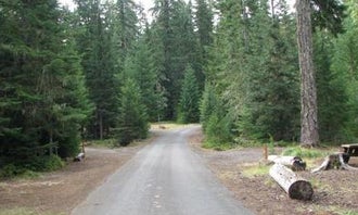 Camping near Hoodview Campground: Clackamas Lake, Government Camp, Oregon