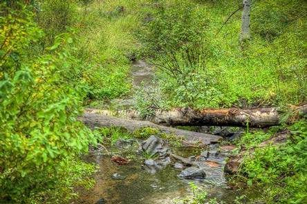 Camper submitted image from Cold Springs Campground (OR) - 5