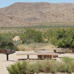Public Campgrounds: Indian Cove Campground — Joshua Tree National Park