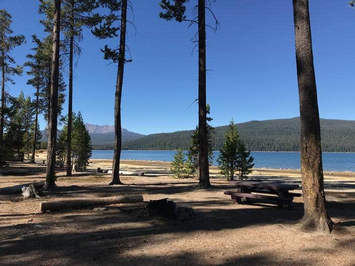 Camper submitted image from Contorta Flat Campground - 2