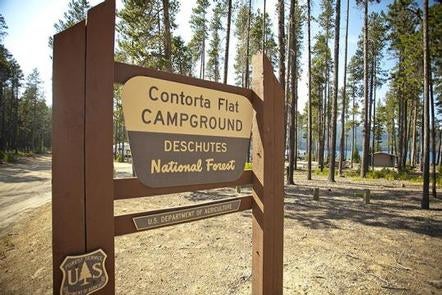Camper submitted image from Contorta Flat Campground - 1
