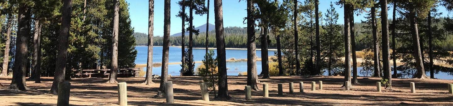 Crescent Lake from Contorta Point Campground



Credit: USFS