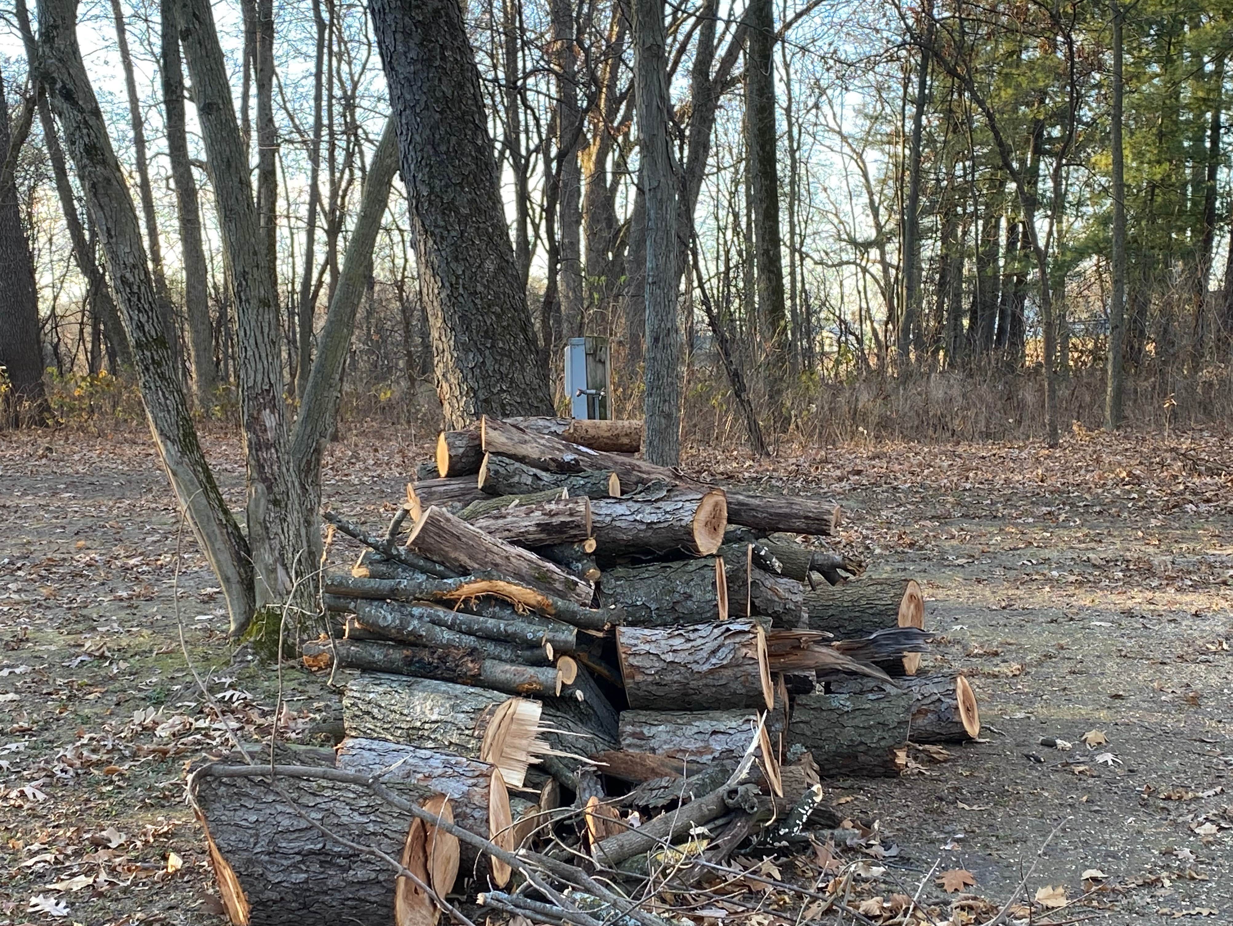 Camper-submitted photo at Hickory Hills Campground near Whitewater, WI