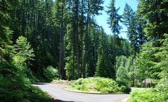 Camping near Hoover Campground: Cove Creek, Detroit, Oregon