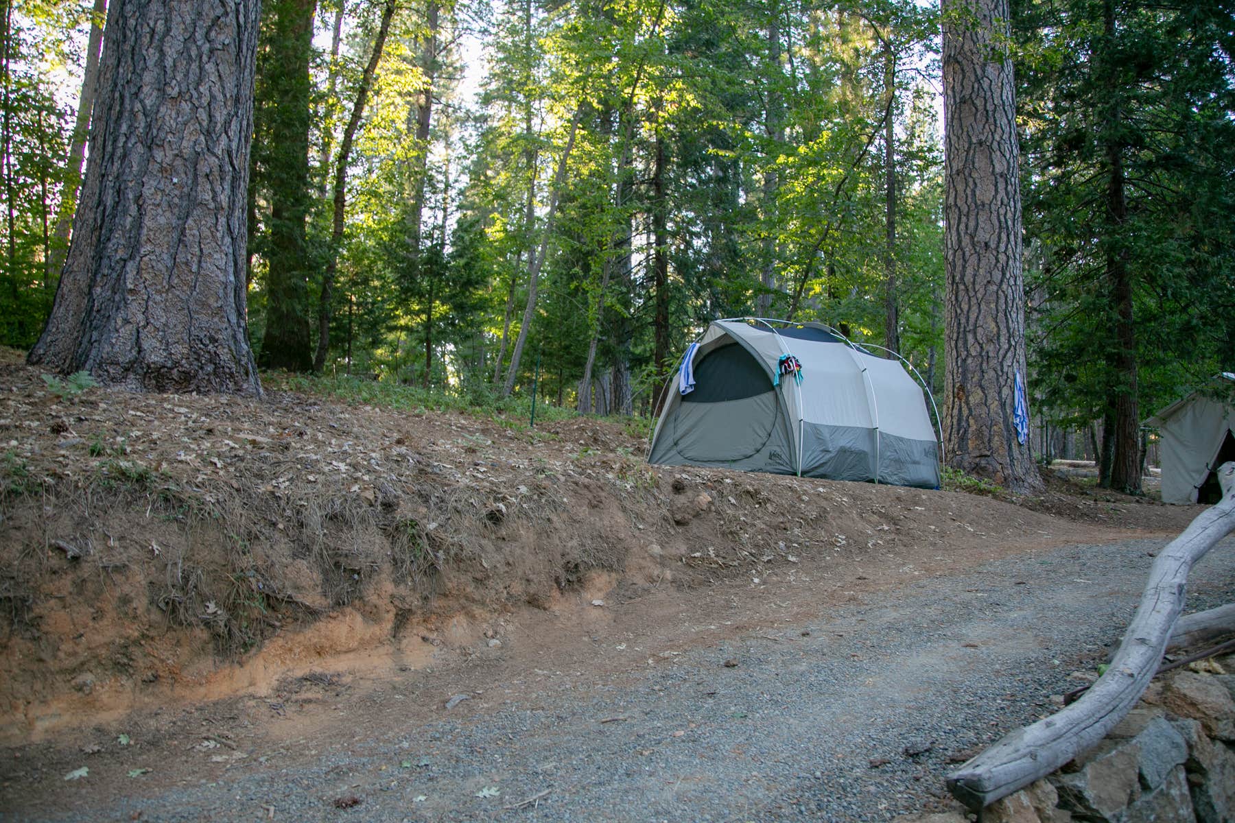 The Dyrt's photo at Inn Town Campground near Pinecrest, CA