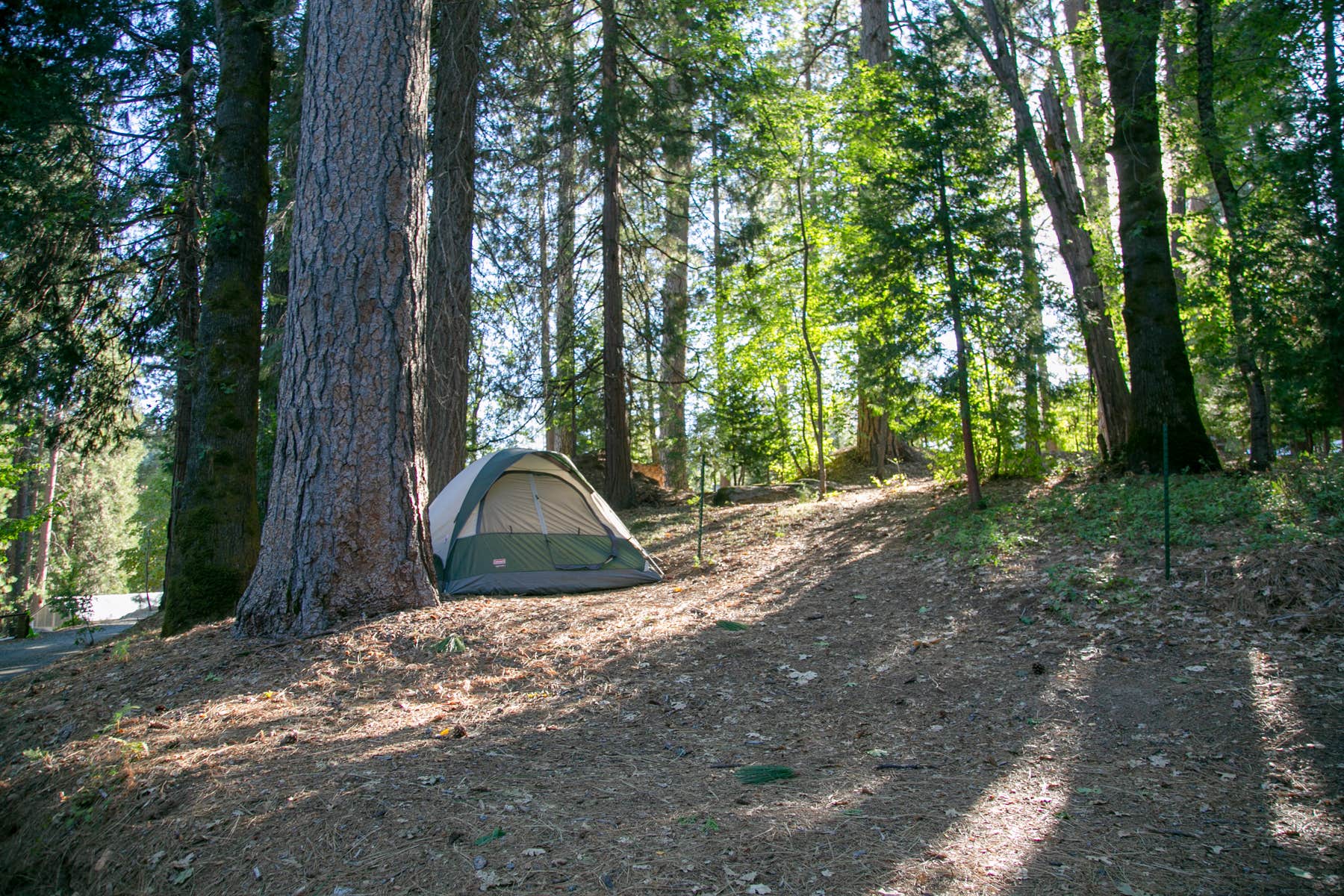 The Dyrt's photo at Inn Town Campground near Rough and Ready, CA