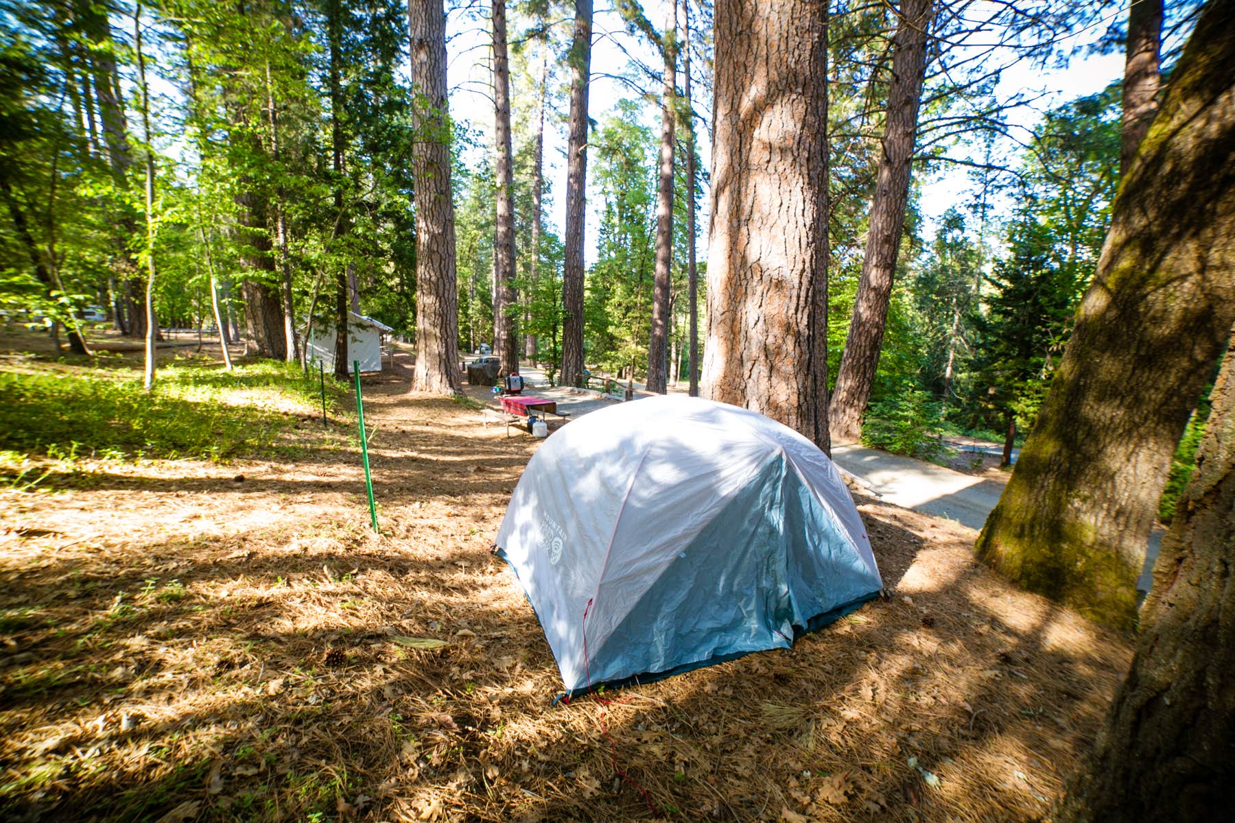 The Dyrt's photo at Inn Town Campground near Camptonville, CA