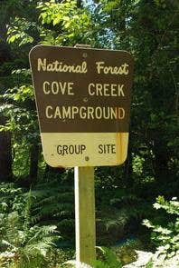 Camper submitted image from Cove Creek - 5