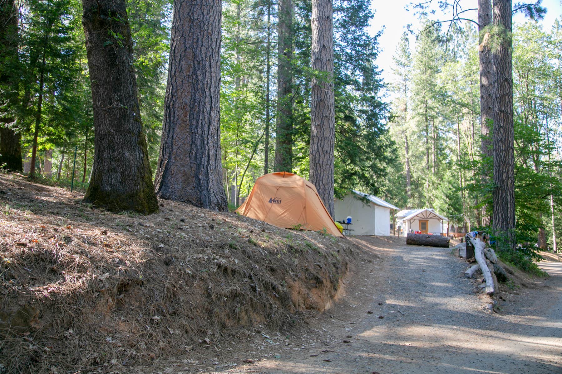 The Dyrt's photo at Inn Town Campground near Smartsville, CA