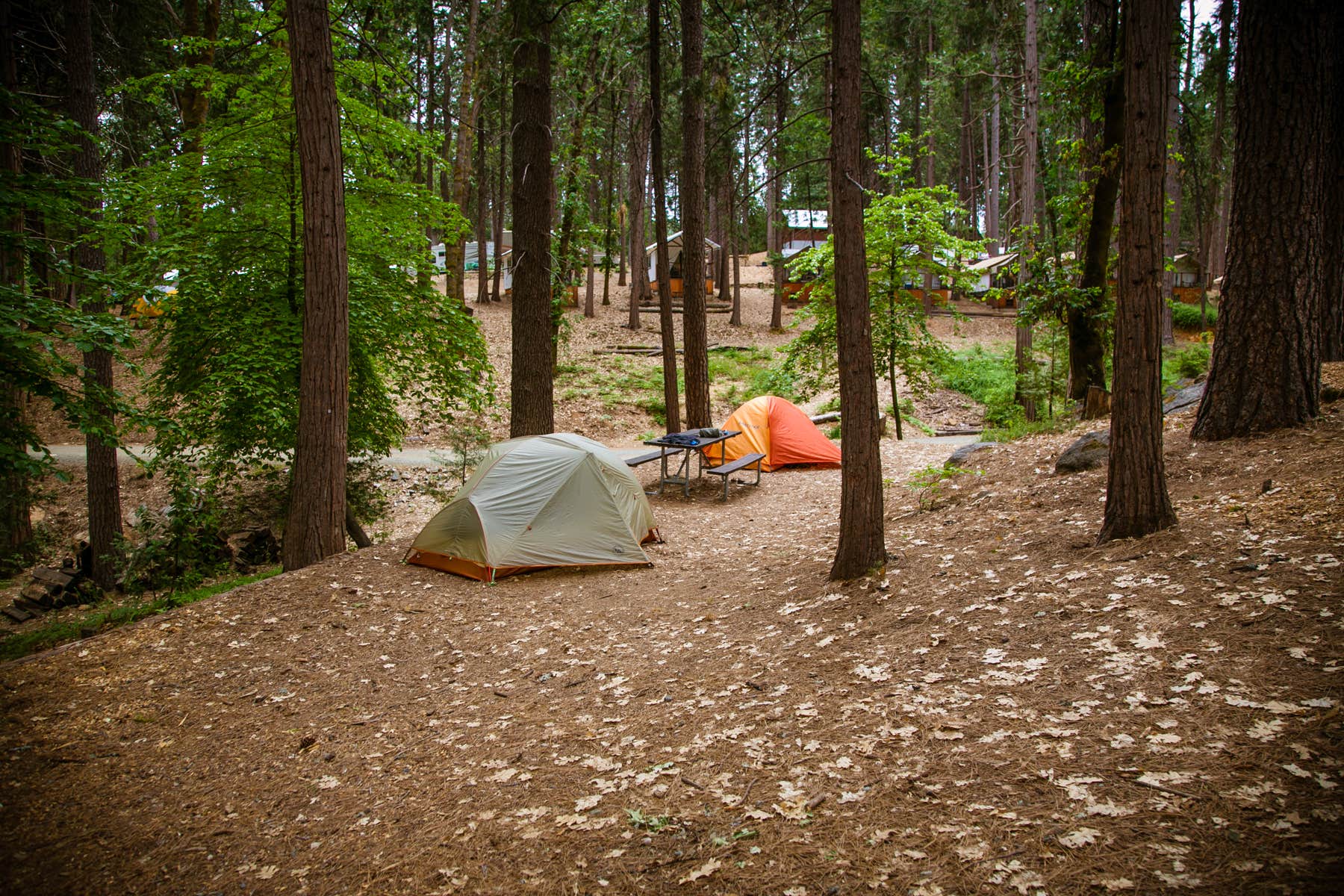 The Dyrt's photo at Inn Town Campground near Grass Valley, CA