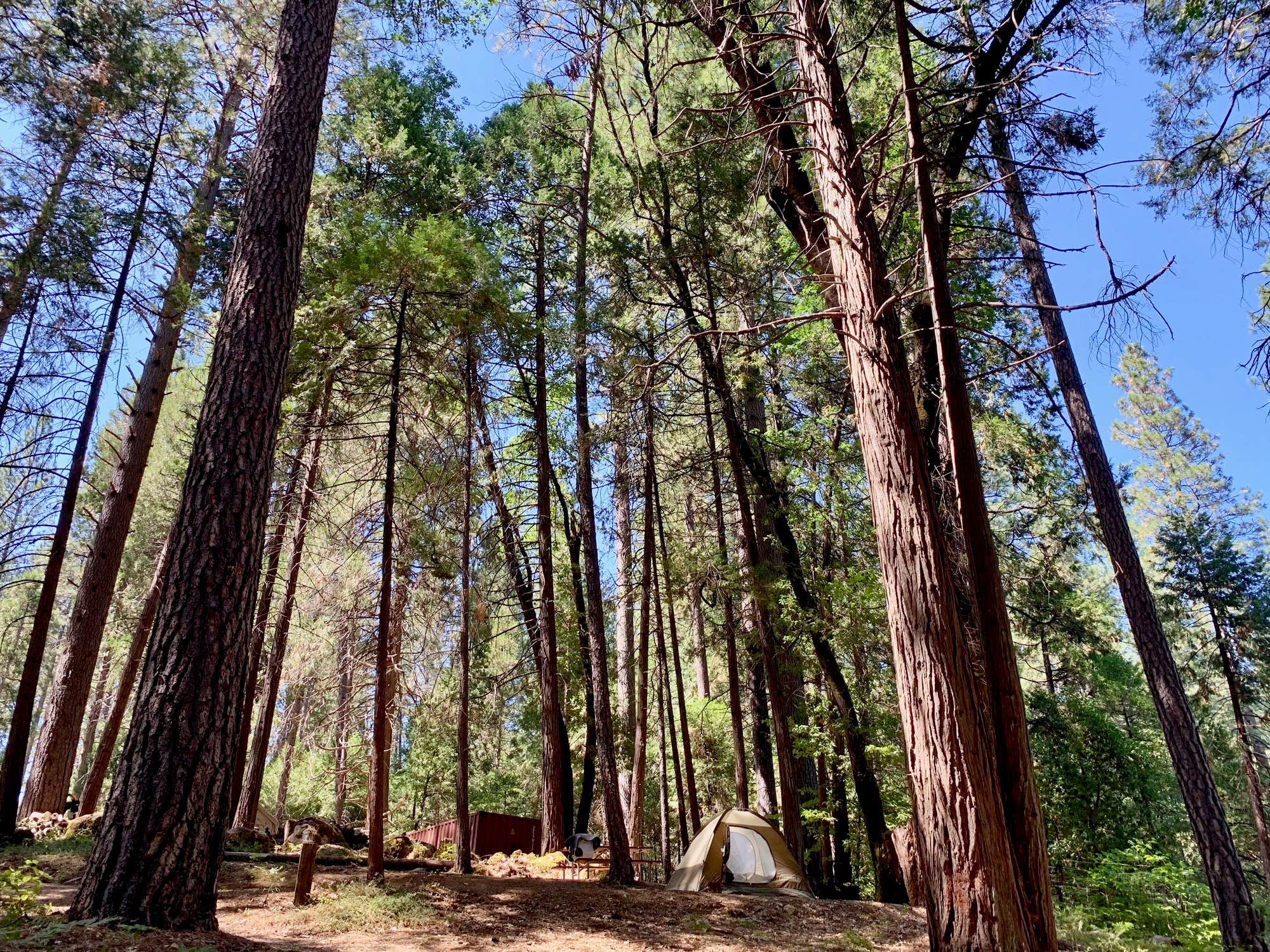 The Dyrt's photo at Inn Town Campground near Penn Valley, CA
