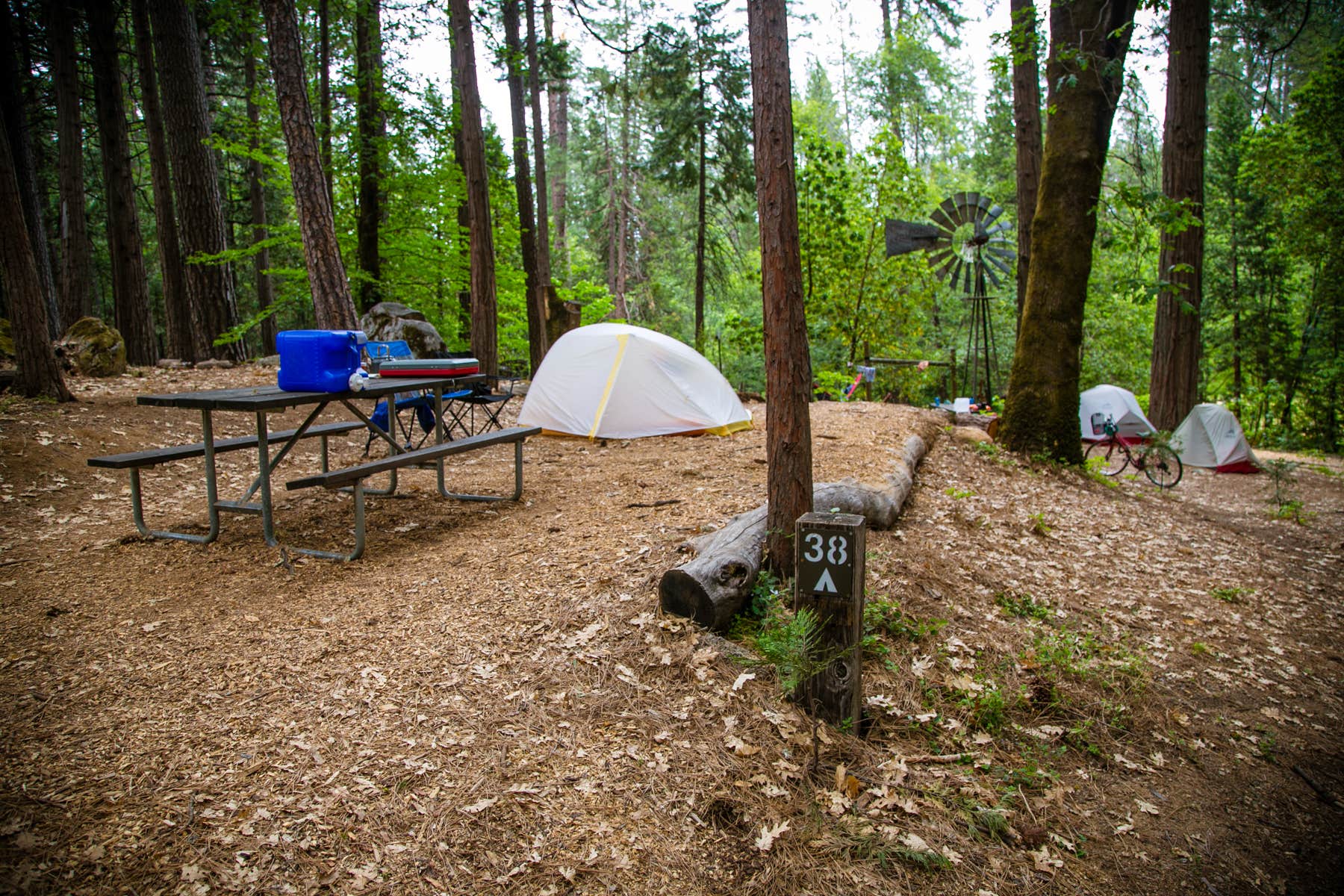 The Dyrt's photo at Inn Town Campground near Forest Knolls, CA