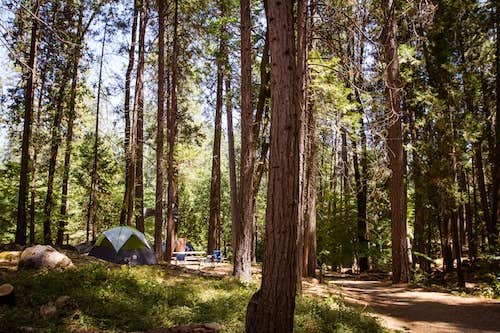 The Dyrt's photo at Inn Town Campground near Grass Valley, CA