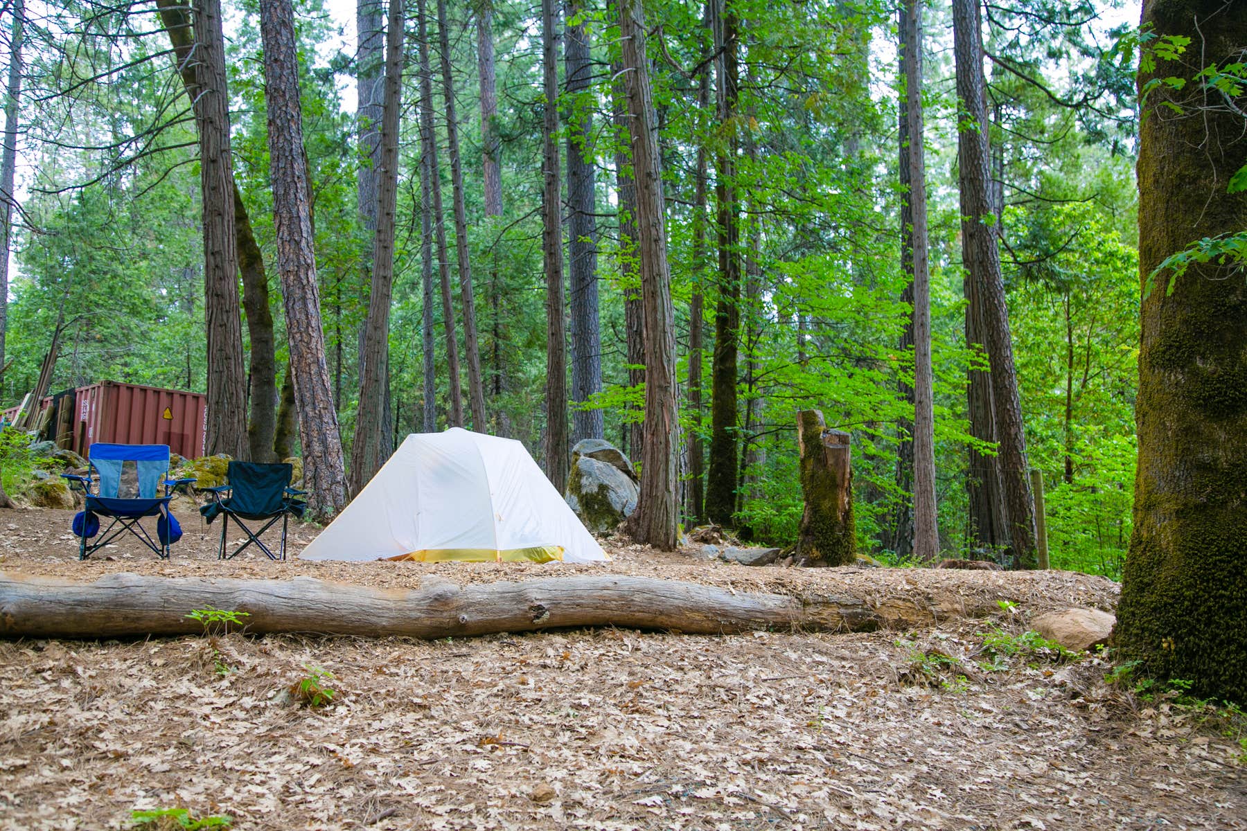 The Dyrt's photo at Inn Town Campground near North San Juan, CA