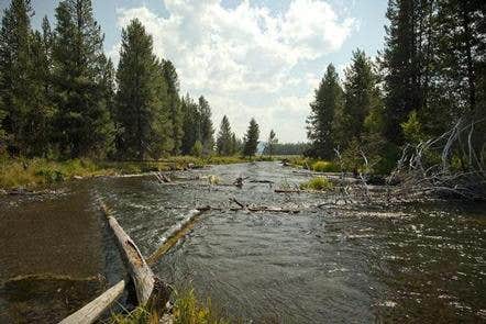 Camper submitted image from Cow Meadow Campground - 2