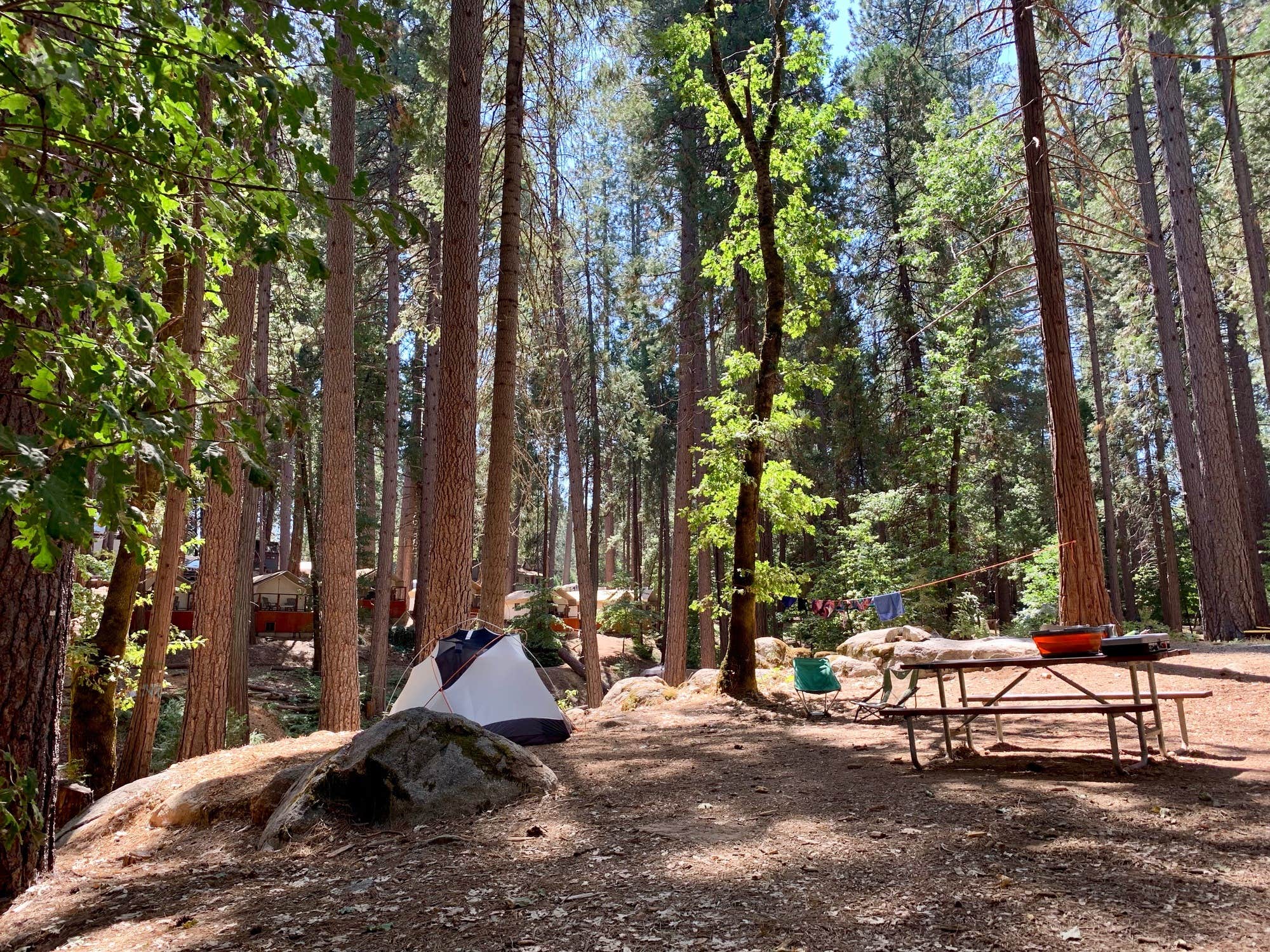 The Dyrt's photo at Inn Town Campground near Oregon House, CA