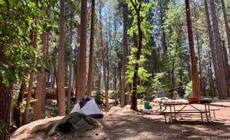 The Dyrt's photo at Inn Town Campground near Oregon House, CA