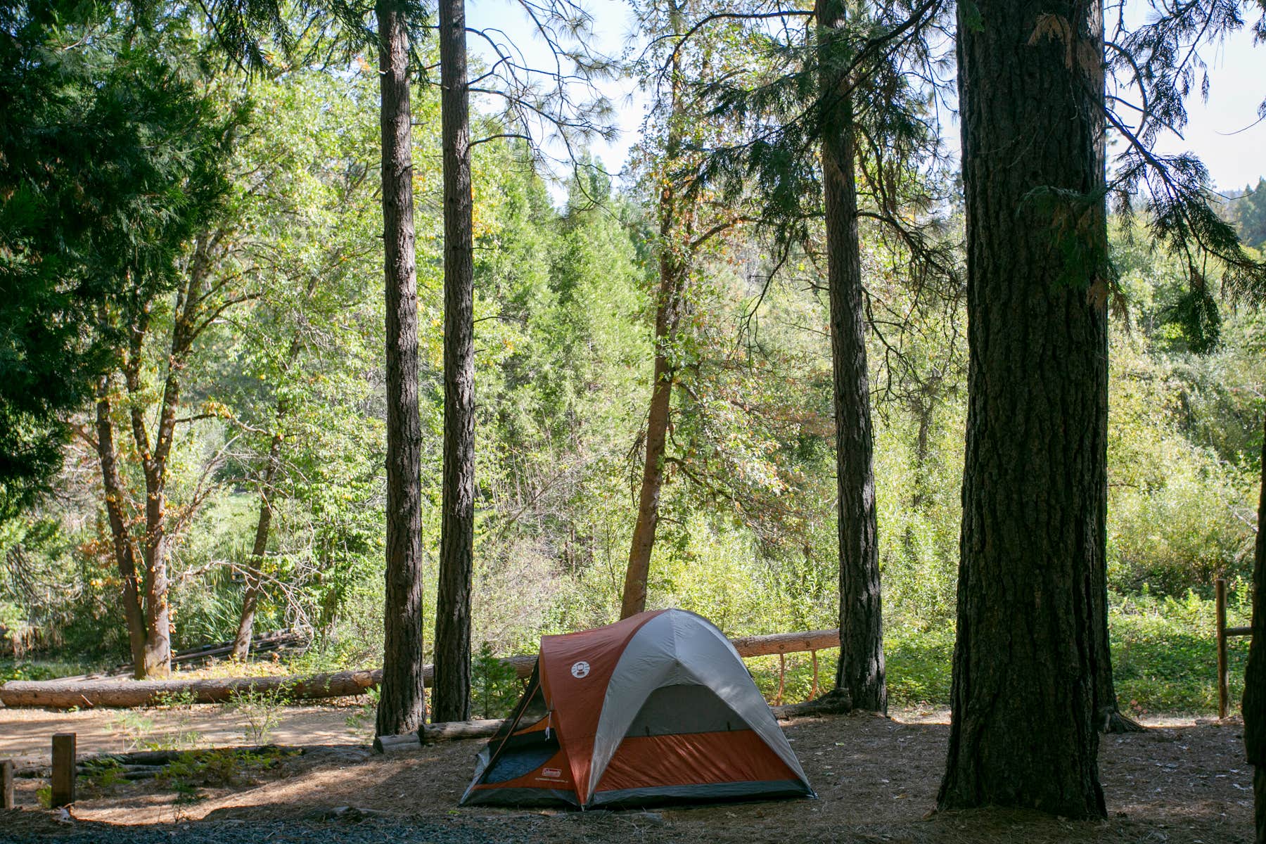 The Dyrt's photo at Inn Town Campground near Smartsville, CA