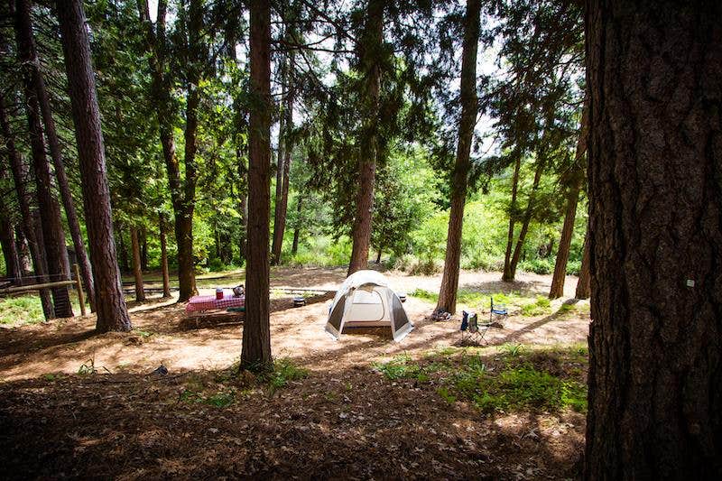 The Dyrt's photo at Inn Town Campground near Camptonville, CA