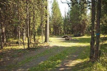 Camper submitted image from Cow Meadow Campground - 3