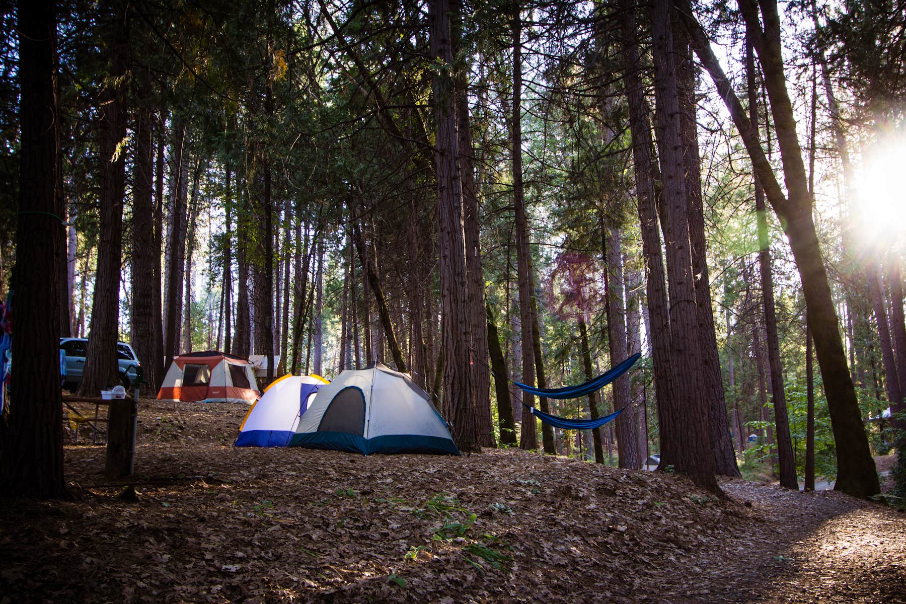 The Dyrt's photo at Inn Town Campground near Alta, CA