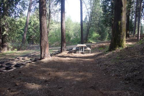 The Dyrt's photo at Inn Town Campground near Forest Knolls, CA