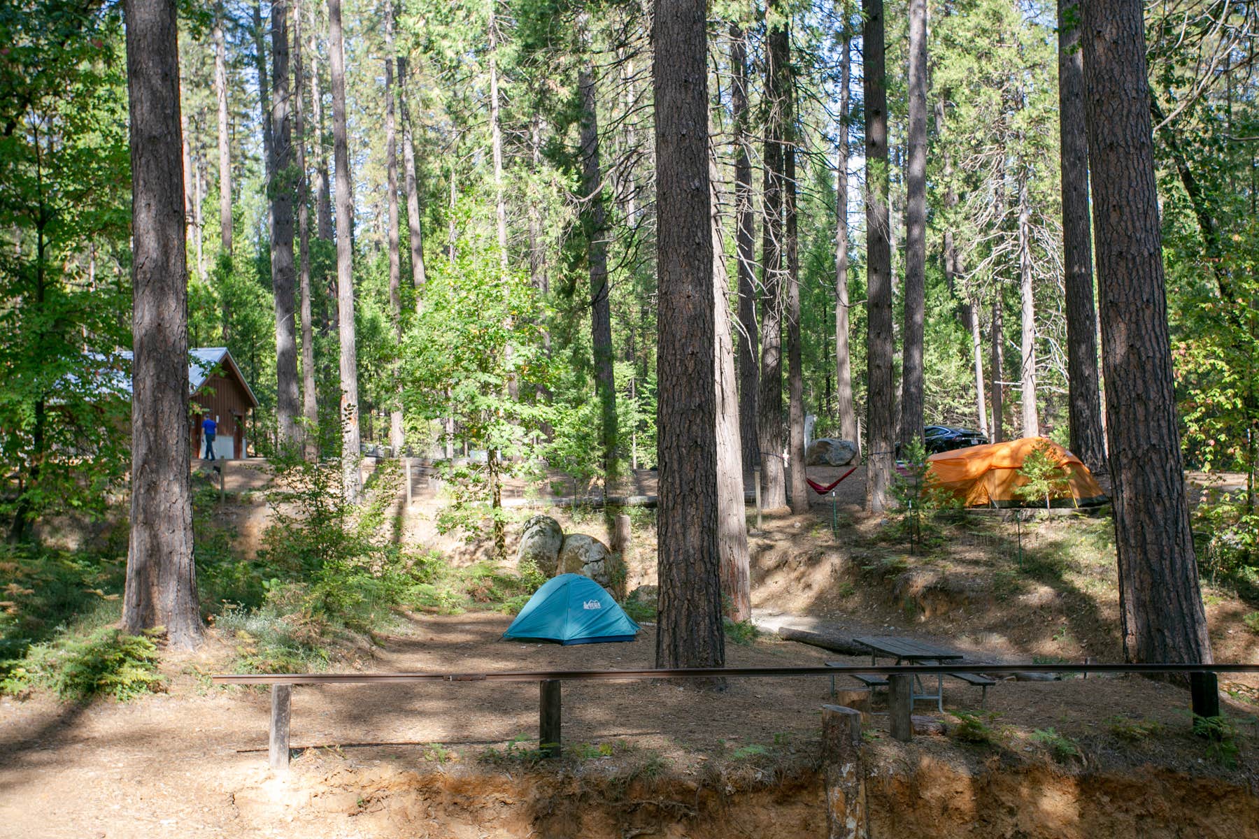 The Dyrt's photo at Inn Town Campground near Grass Valley, CA