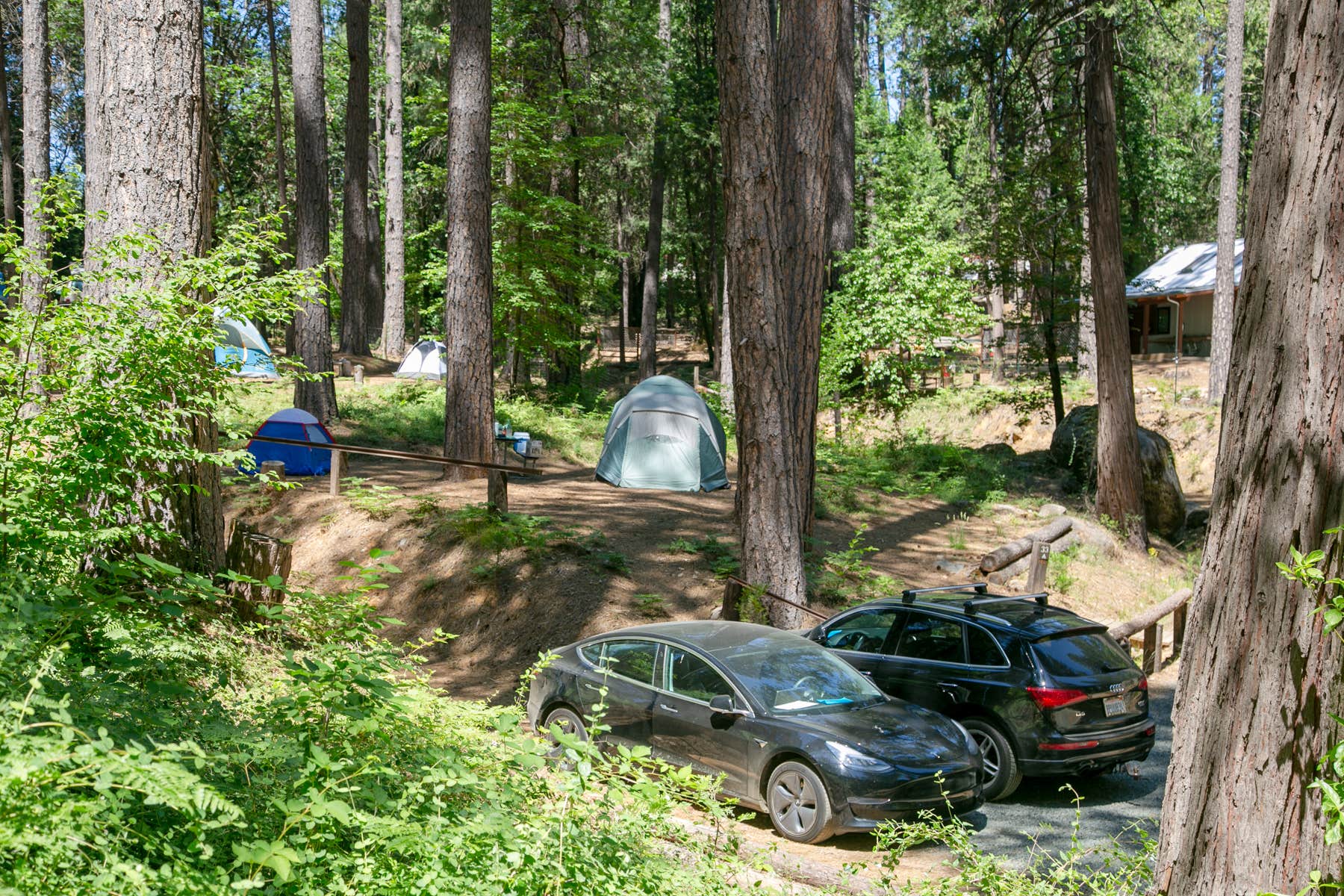The Dyrt's photo at Inn Town Campground near Camptonville, CA