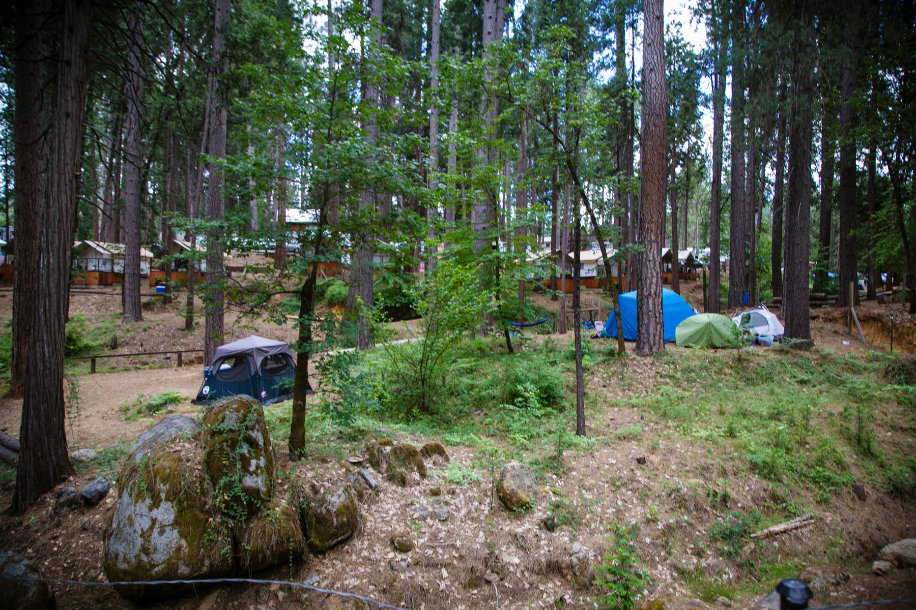 The Dyrt's photo at Inn Town Campground near Smartsville, CA