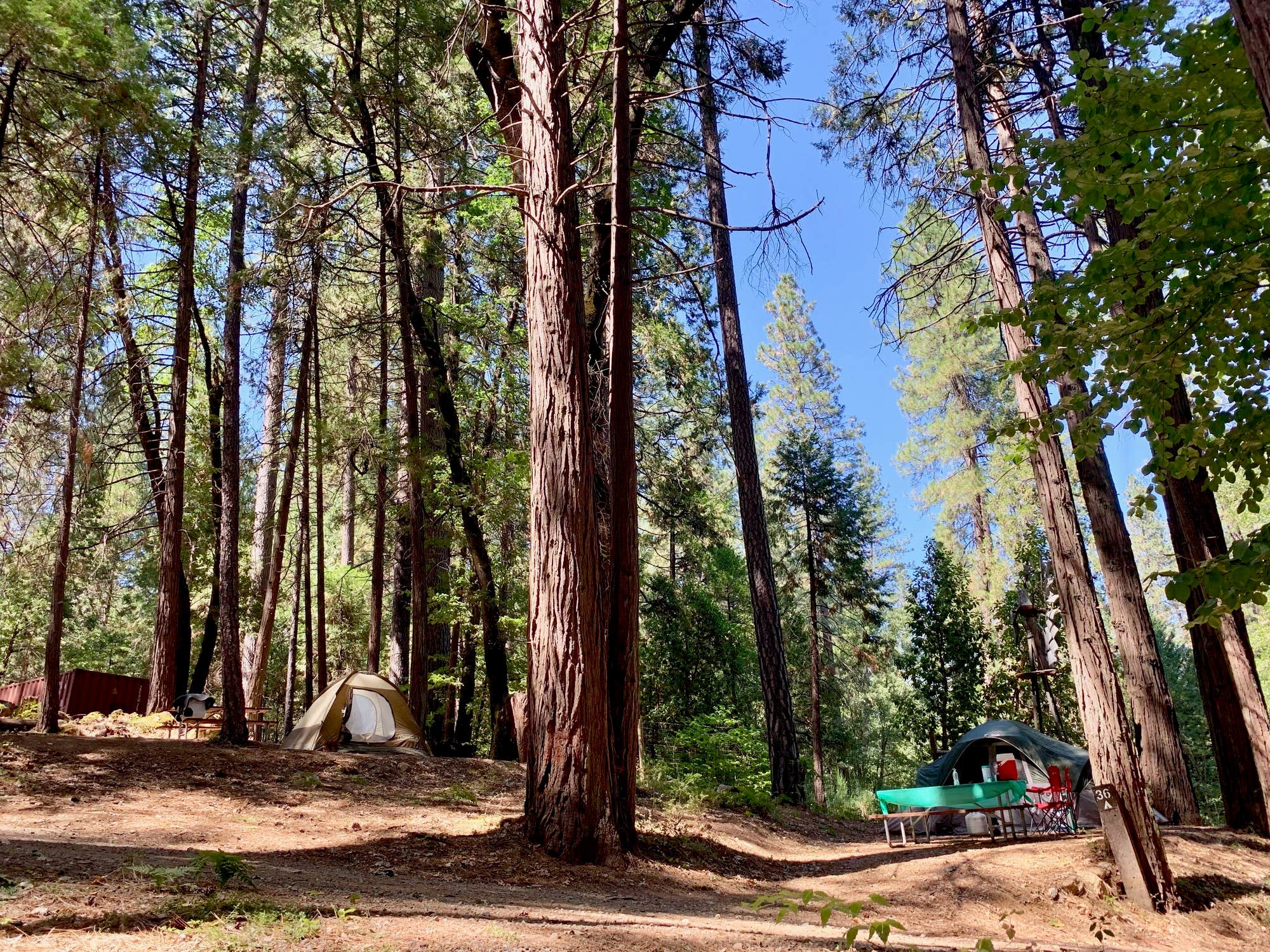 The Dyrt's photo at Inn Town Campground near Weimar, CA