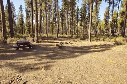 Camper submitted image from Crescent Creek Campground - 2