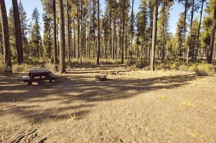 Camper submitted image from Crescent Creek Campground - 2